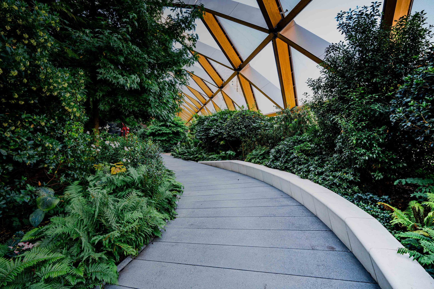 High-tech timber structure above a public park in Canary Wharf London